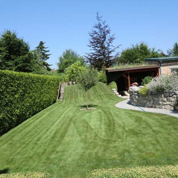 Murlasits Gartengestaltung mit Planung, Ausführung und Pflege - Rasenpflege danach