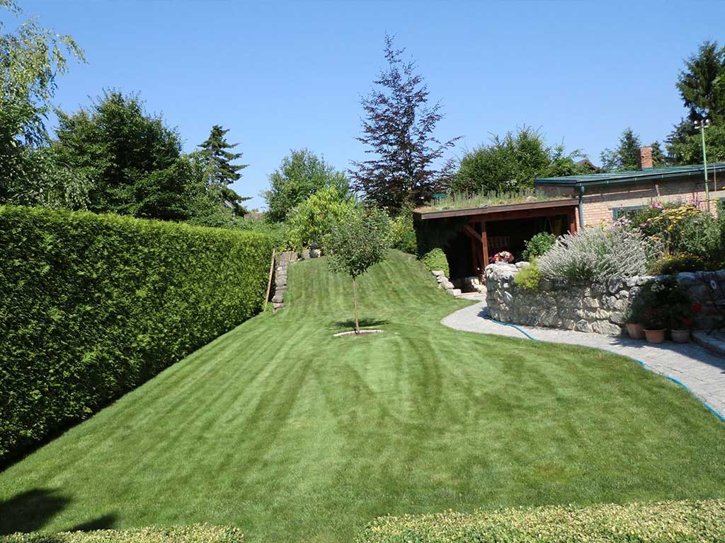 Murlasits Gartengestaltung mit Planung, Ausführung und Pflege - Rasenpflege danach