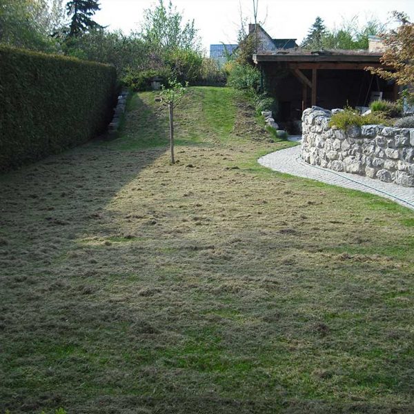 Murlasits Gartengestaltung mit Planung, Ausführung und Pflege - Rasenpflege davor